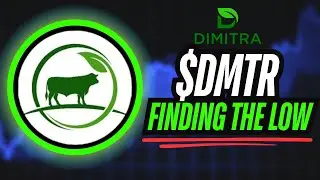 $DMTR - FINDING THE LOW