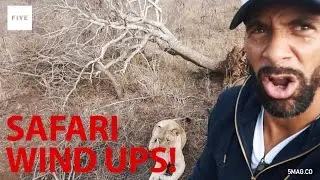 Safari Wind Up! | Rio Vlogs