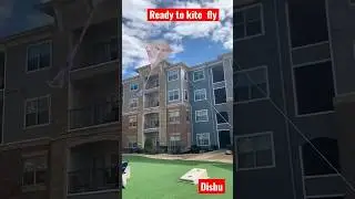 Kite installed and fly in the sky