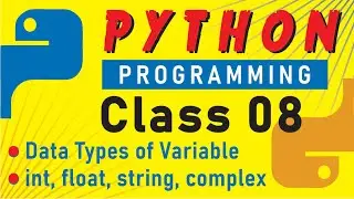 What are Data Types in Python | All Data Types | Tutorial For Beginners