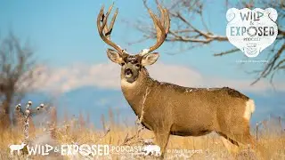 Season 3 Finale!  Your Wildlife Photography Questions Answered.
