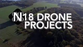 Bijna drone crash met 3 witte reigers