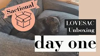 Lovesac Day One Unboxing & First Impressions #couch #livingroom #furniture #pets #vlog #trending