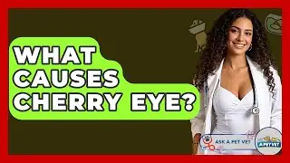 What Causes Cherry Eye? - Ask A Pet Vet
