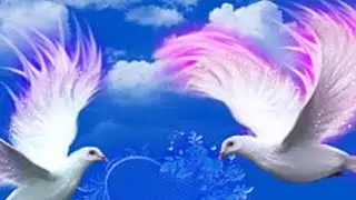 Flowers and hummingbirds have a mutualistic relationship where both benefit # birds life with song