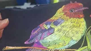 Embroidery DTF Printing Service and Printer