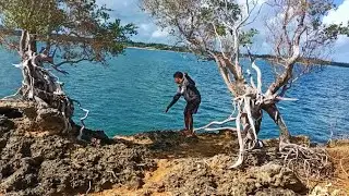 Tebing Berbahaya‼️ Bertarung Dengan ikan