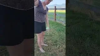 Spinning Yarn on a drop spindle #handspinner #woolyarn #spinningyarn #yarnmaking #yarn #dropspindle