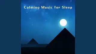 Subtle Sleep Sensations