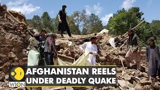 UN: Death toll of children rises to 155 in Afghanistan earthquake | Latest English News | WION