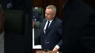 Liberal premier says he's 'no Peter Dutton' | ABC NEWS
