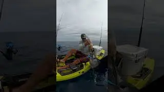 CATCHING GIANT SAILFISH ON A KAYAK!
