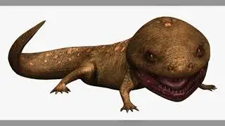 Koolasuchus &mdash; O &Uacute;ltimo Monstro Anf&iacute;bio da Era dos Dinossauros