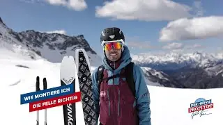 Felle richtig montieren - Jakob Herrmann - Hervis Profi-Tipp
