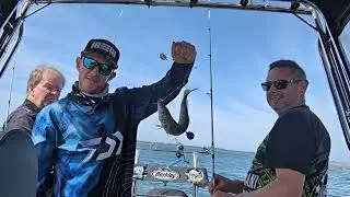 StrictlyOZ Fishing catching king George whiting in western port bay