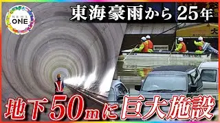 10人死亡し約7万棟浸水…『東海豪雨』から25年 進む“内水氾濫”への対策と備えの大切さ「あれを思い出すだけで嫌」