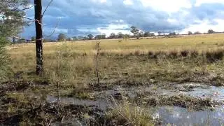 Santos Narrabri Gas Project - Higher Ground Causes Contaminated Water to Flow out of Leewood