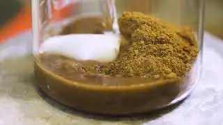 Wonders of Wood and Beyond trailer | Making money from lignin?