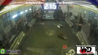 Kilobots XLVIIIb -  Beetleweight 06 - Salamander vs The Butcher