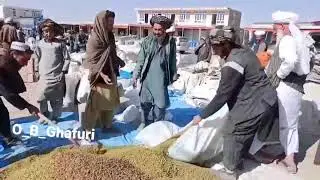 حاصلات کشمش ولسوالی قیصار فاریاب نسبت به سال های قبلی کاهش یافته است