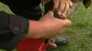 This is Genius - weirdest videos of the week