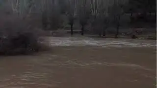 El río Guadalquivir sigue creciendo. (27.01.26.)
