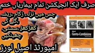 Genta- Combisone injection uses For Many Diseases In chickens /Imported Aseel Lovers