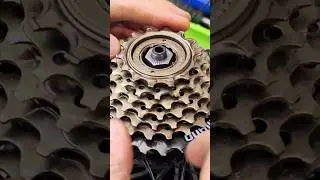 Bicycle freewheel removal and installation
