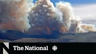Massive Arizona wildfire sparks warning for Canadians