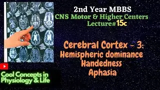 15c. Cerebral Cortex Explained: Hemispheric Dominance, Handedness & Aphasia 2nd Year MBBS