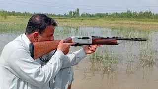 Bird Hunting with a 12 Gauge Shotgun: Action and Precision