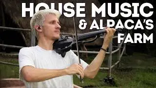 House Music & Live Violin with Alpacas | Afro & Deep House DJ Set from Bali | Tinlicker, WhoMadeWho