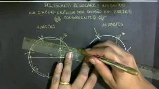 7 e 14 partes