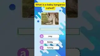 What is a baby Kangaroo called? #generalknowledge #gk #quiz