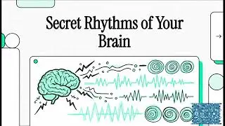 Secret Rhythms of Your Brain Waves Explained: The 5 Frequencies and What They Mean