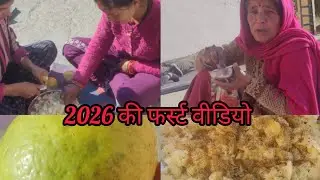 नींबू पार्टी कर दी हम सबने मिलके||jpb vlog||phadi life style vlog 