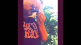Hemp district stoners