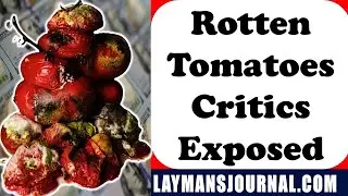 Rotten Tomatoes Critics Paid For Fake Reviews