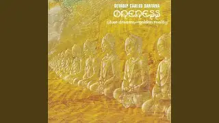 Silver Dreams Golden Smiles
