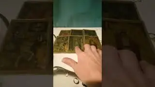 Кто на вас фиячит