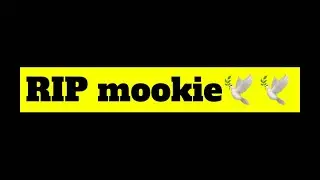 Jacksonvillie rappers dissing RIP mookie🕊