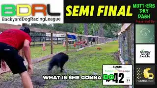 🤯 Dog Race SHOCKER! Rip, Suki & Bebo in Thrilling Final! 🥇