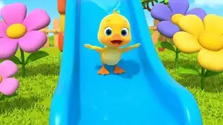 Oops! Baby Duck Slides on the Wet Slide | Nursery Rhymes for Kids & Baby Songs