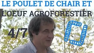 4/7 - Alain CANET - Le Poulet de Chair et l'Oeuf Agroforestier : 10 R&egrave;gles