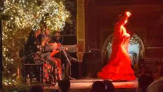 Tablao Flamenco Torres Bermejas (Madrid S2022)