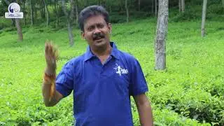 Silti Poa | Goutam | Full Video Song | Golden Voice Entertainment
