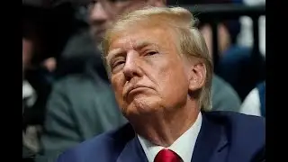 OMG: Trump pulls INSANE Nobel Peace Prize stunt