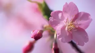 Jacques Loussier &ndash;  Satie - Gymnopedie No 1 -  Var.1