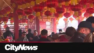 The fire horse brings in the Lunar New Year