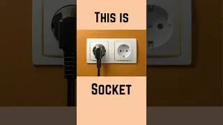 Switch vs plug vs socket